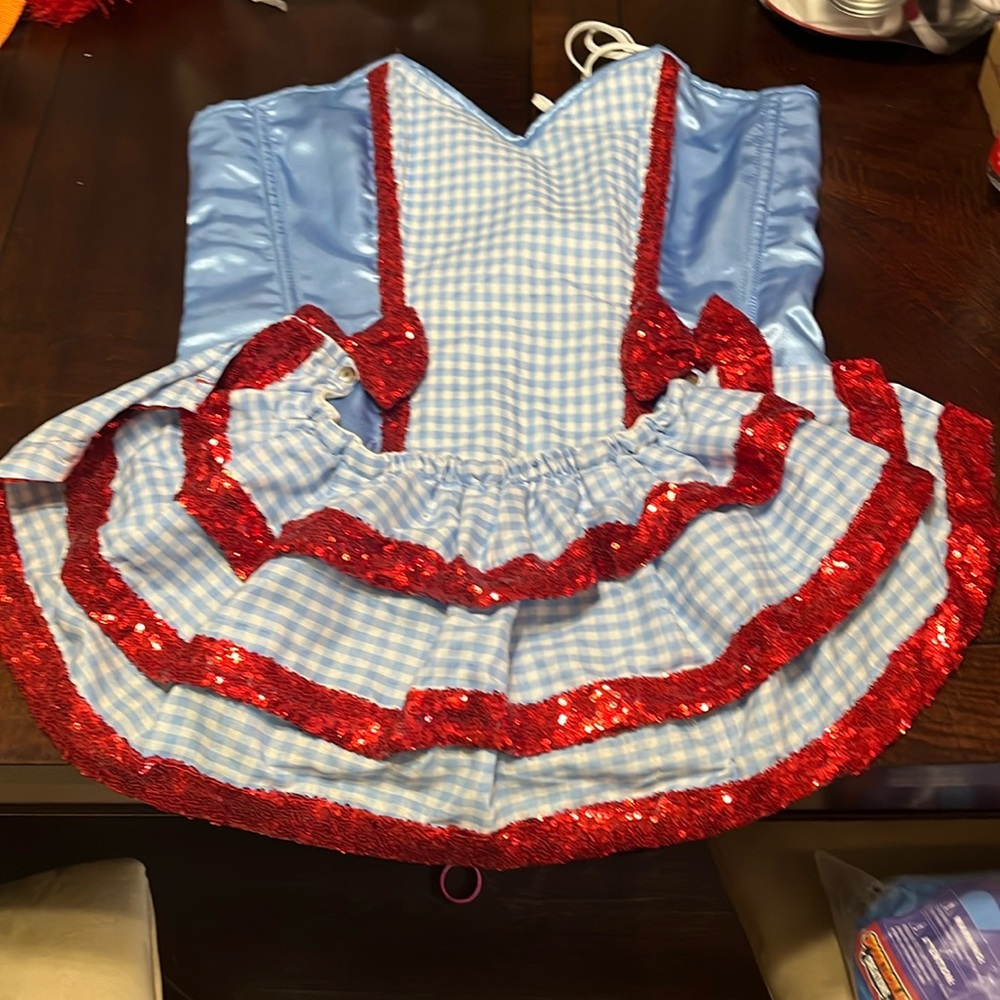 New Spicy time Daisy Corsets XXL Wizard of Oz costume corset roll play Dorothy